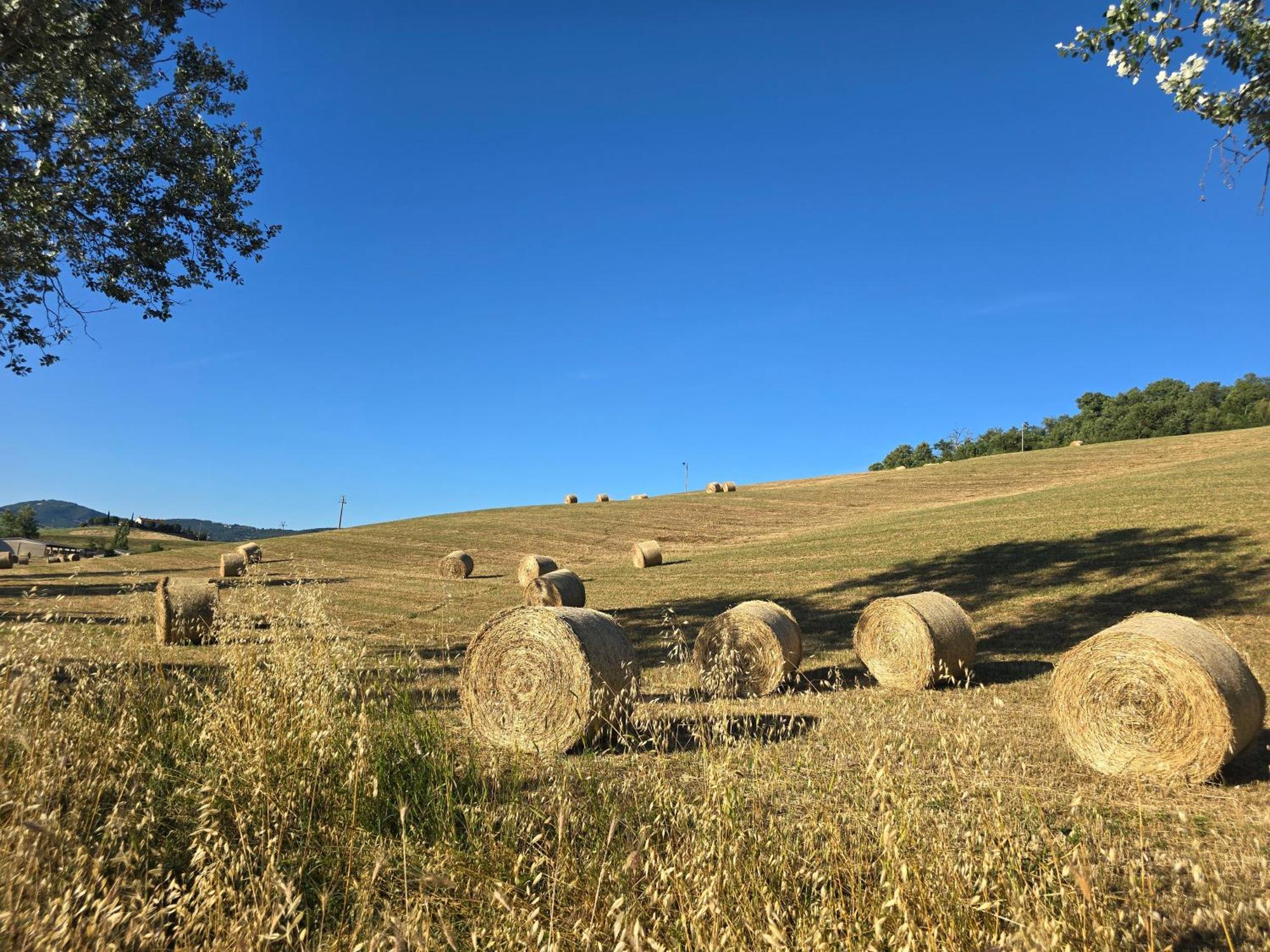 Finestra Della Val D'Orcia Leilighet Contignano Eksteriør bilde